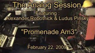 The Analog Session  Promenade Am3 [upl. by Nnahgem]