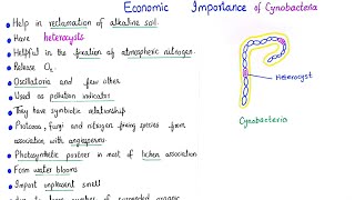 Economic importance of cyanobacteria  class 11 [upl. by Ikila]