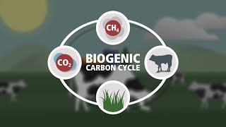 Biogenic Carbon Cycle [upl. by Guillema450]