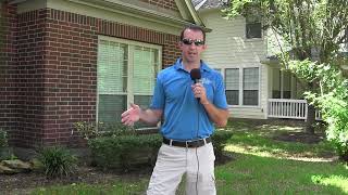 How to Kill Sod Webworms in Houston Lawns  Houston Grass [upl. by Aneeras]