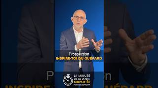 La Règle dOr de la Prospection Commerciale Une méthode 100 efficace [upl. by Verene515]