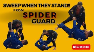 Sweep them everytime BJJ Spider Guard Sweep basics you MUST know [upl. by Aniram550]