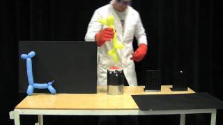 MIT Physics Demo  Balloons in Liquid Nitrogen [upl. by Assila]