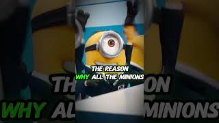 WHY DO ALL MINIONS WEAR GOGGLES [upl. by Sevart20]