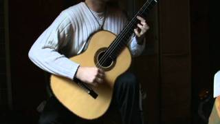 Rumores de la Caleta  Isaac Albéniz  by Jan Depreter guitar [upl. by Miahc]