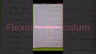 Flexor retinaculumshortnotesanatomy ytshorts youtubeshorts trendingshorts viral [upl. by Nolie797]