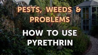 How to Use Pyrethrin [upl. by Eniar]