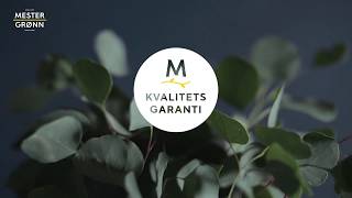 Kvalitetsgaranti på alle blomster og planter [upl. by Oribel]