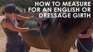 How To Measure Your Horse for English amp Dressage Girth Size [upl. by Josepha]