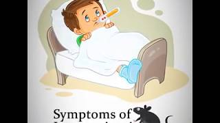 LEPTOSPIROSIS  Signs and Symptoms of Leptospirosis [upl. by Aicekal]