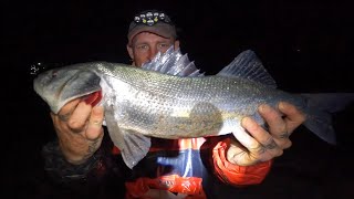 The Best Shore Fishing Trip Ever  BIG Bass Gilthead Bream  Float Fishing For Garfish [upl. by Nolaj380]