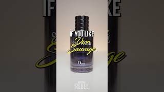 Watch THIS If You Like Dior Sauvage fragrance cologne perfume [upl. by Gamin253]