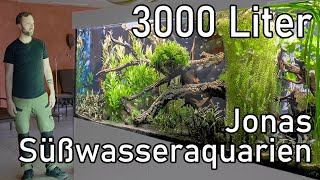 Jonas XXL Aquarien  Professionelle Aquarien und PflegeTour Süßwasser [upl. by Ahsirt]