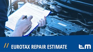 Eurotax Repair Estimate DE [upl. by Noskcaj498]