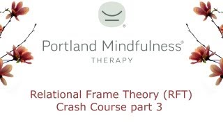 Relational Frame Theory RFT crash course pt 3 [upl. by Coucher]