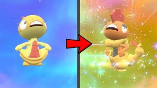 How to Evolve Scraggy into Scrafty in Pokemon Scarlet amp Violet DLC [upl. by Seton]