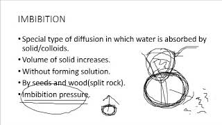 Imbibation process [upl. by Sewoll491]