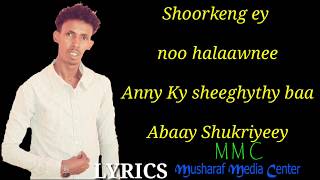 ABDI SHAKUUR SHAACIYE HEES USUB 2019  SHUKRIYEEY  BEST MAAY MMCLYRICS 2019 [upl. by Naujahs]