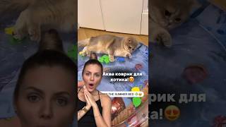 Арт221058465 мои супер находки wildberries ozon яндекс aliexpress [upl. by Harvison]