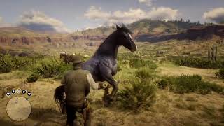 Lets 100 Red Dead Redemption 2 Part 101 Horseman 10 Wild Wild Horses [upl. by Ainad731]