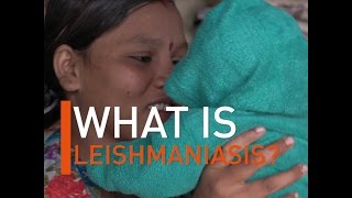 What is Leishmaniasis [upl. by Eldredge]