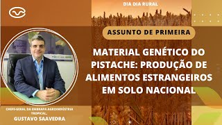 Material genético do pistache produção de alimentos estrangeiros em solo nacional [upl. by Audre]