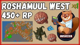 Roshamuul West  450 Paladin  Tibia [upl. by Hulbig]