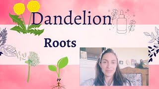 How to Wash Clean and Dry Dandelion Roots for Longterm Storage [upl. by Akemehc534]