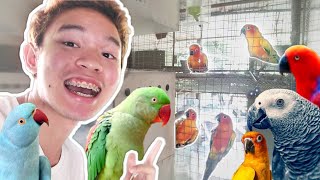 GETTING MY DREAM BIRD  AVIARY TOUR [upl. by Relyhcs]