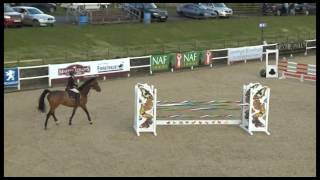 Chepstow CSI 2016  Children On Horses Viewing Trial [upl. by Eseyt]