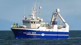 2449 Pálína Þórunn GK 49  Stern Trawler  Iceland [upl. by Liban]