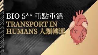 HKDSE BIOLOGY生物 課題重點重溫：Transport in humans 人類轉運  DSE 生物科 中四最麻煩複雜的一課 [upl. by Siugram189]