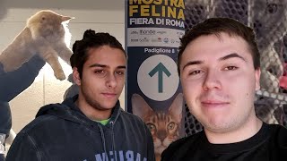 Visitiamo la Mostra felina a Roma  SuperCat Show 2021 [upl. by Assirok]