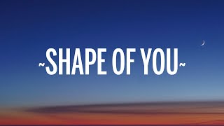 Ed Sheeran  Shape of You Lyrics [upl. by Sandie697]