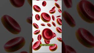 FACTS ABOUT RBCs facts info biology shorts subscribe viralreels 100kviews 1000subscriber [upl. by Tsenrae]