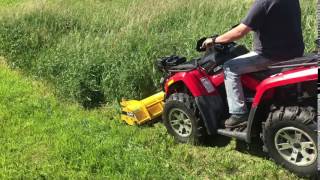 Rammy Flail Mower 120 in the USA  First Pass [upl. by Anitsyrhk]