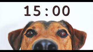 15 Minute Timer for School and Homework  Dog Bark Alarm Sound [upl. by Aicelf]