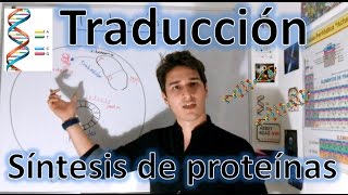 Traducción Síntesis de proteínas nivel elevado Para principiantes EN 9 MINUTOS [upl. by Oiramat]