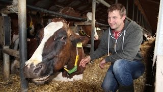 Bio und konventionell Blick in zwei MilchBauernhöfe [upl. by Budge]