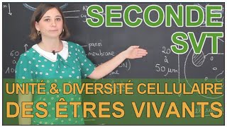 Unité et diversité cellulaire des êtres vivants  SVT Seconde  Les Bons Profs [upl. by Lilli]