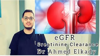 Creatinine Clearance  eGFR  تقدير معدل الترشيح الكلوى داخل المعمل [upl. by Gerlac]