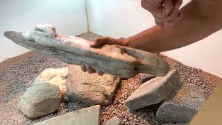 Setting Up the Enclosure for Uromastyx [upl. by Grosz417]