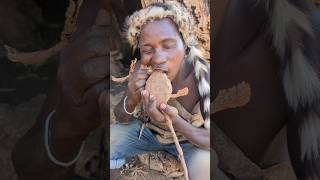 Its Fantastic 😍 Natural Roots food hadzabe tribe Favorite breakfast 😋 [upl. by Sikras]