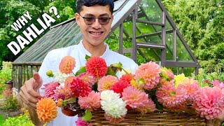 Arranging Bud Vases with Dahlias from my Garden [upl. by Skantze16]