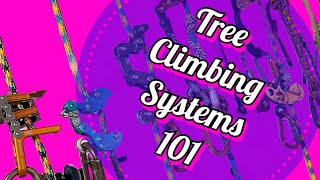 THE BEST TREE CLIMBING SYSTEM PERIOD [upl. by Ahsenik]