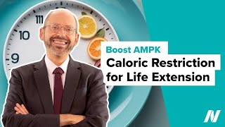 Naturally Boosting AMPK with Caloric Restriction for Life Extension [upl. by Howenstein]