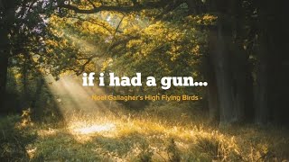 Noel Gallaghers High Flying Birds  If I Had a Gun Lirik Terjemahan Indonesia [upl. by Artekal]