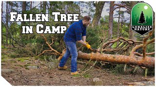 Fallen Tree in Our Camp  Campsite Chaos [upl. by Alejoa522]