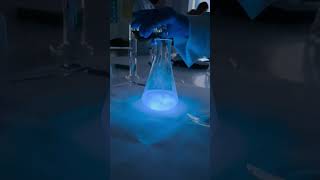 Luminol reaction [upl. by Anaidni]