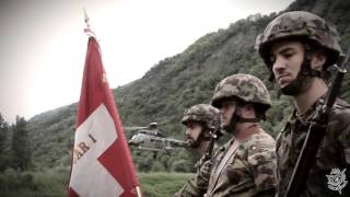 Armée Suisse Bat car 1 SIF 2015 [upl. by Bbor]